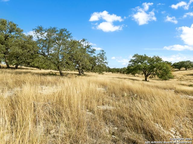 Image 5 of 34 For Lot 103 Cattlemans Crossing Drive