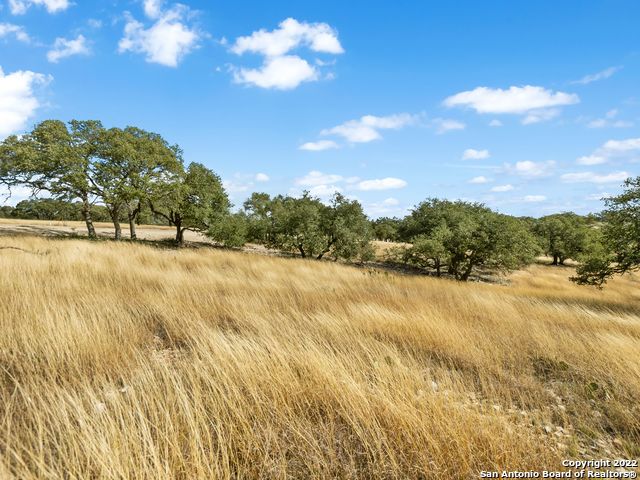 Image 6 of 34 For Lot 103 Cattlemans Crossing Drive