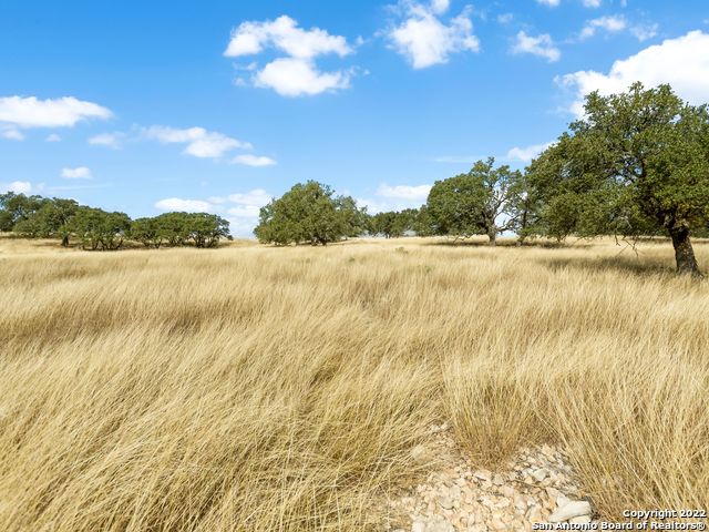 Image 8 of 34 For Lot 103 Cattlemans Crossing Drive