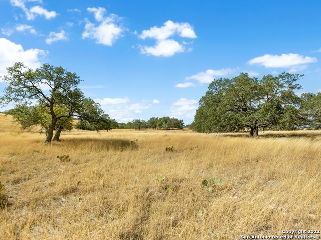 Image 9 of 34 For Lot 103 Cattlemans Crossing Drive