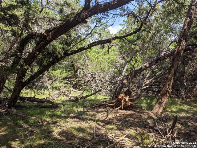 Image 5 of 19 For Lot 52 Clearwater Canyon Rd