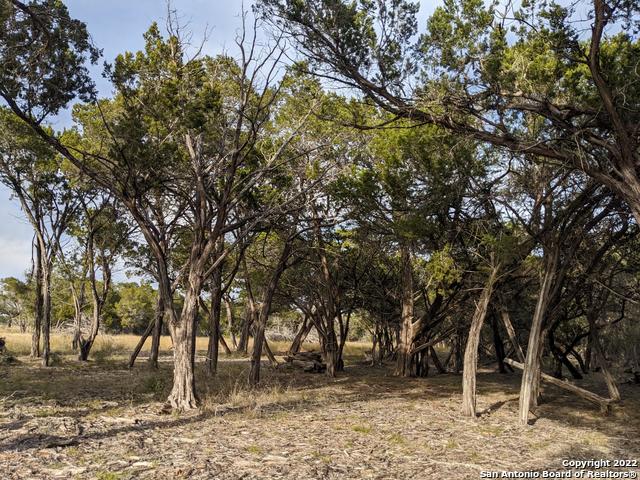 Image 8 of 19 For Lot 52 Clearwater Canyon Rd