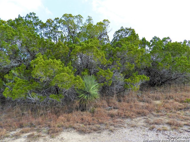 Image 8 of 12 For Lot 13 Johnson Road