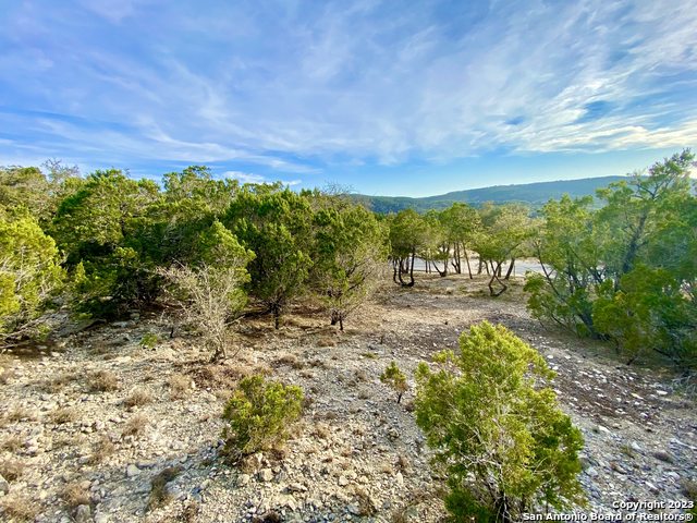 Details for Lot 149 Pr 1738, Mico, TX 78056