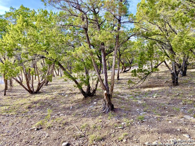 Image 13 of 25 For Lot 149 Pr 1738