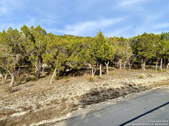 Image 6 of 25 For Lot 149 Pr 1738