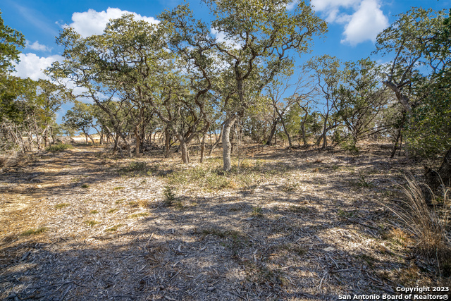 Image 4 of 8 For 1084 Earle Oak Ave