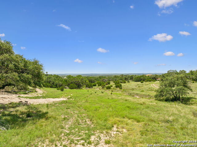 Image 14 of 29 For 34713 Mayer Oaks