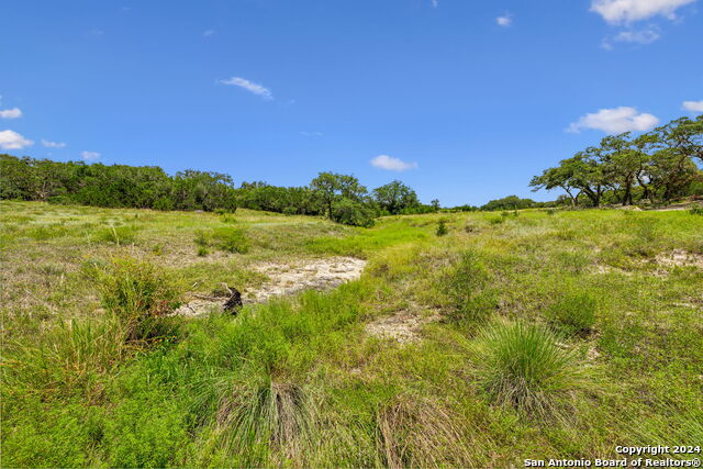Image 16 of 29 For 34713 Mayer Oaks