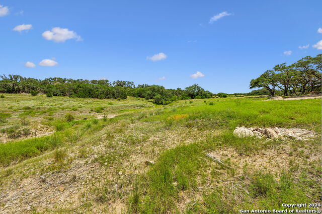 Image 17 of 29 For 34713 Mayer Oaks