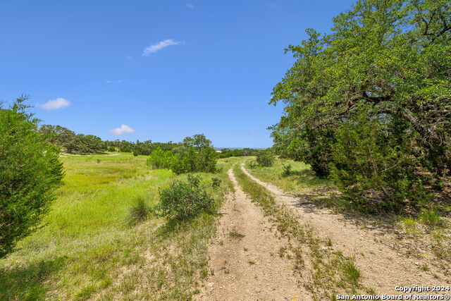 Image 19 of 29 For 34713 Mayer Oaks