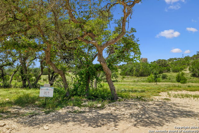Image 4 of 29 For 34713 Mayer Oaks