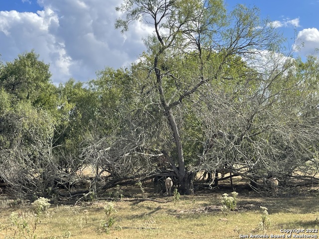 Image 10 of 12 For Tbd County Road 474, Tract 4