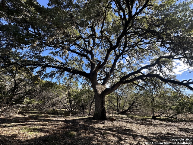 Details for Lot 20 Vaquero, Pipe Creek, TX 78063