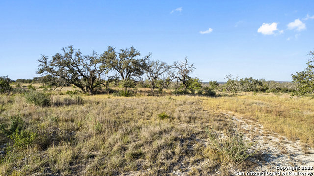 Image 11 of 36 For Lot 91 Axis Cir