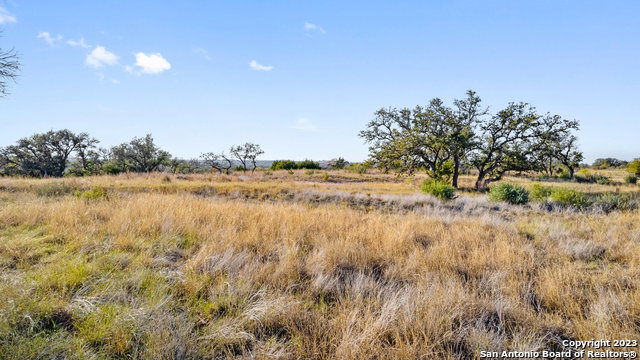 Image 13 of 36 For Lot 91 Axis Cir