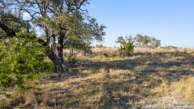 Image 15 of 36 For Lot 91 Axis Cir