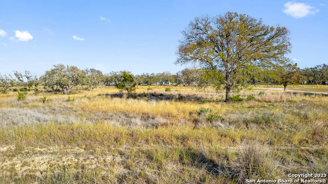 Image 16 of 36 For Lot 91 Axis Cir