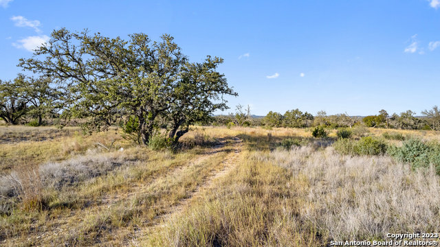 Image 17 of 36 For Lot 91 Axis Cir