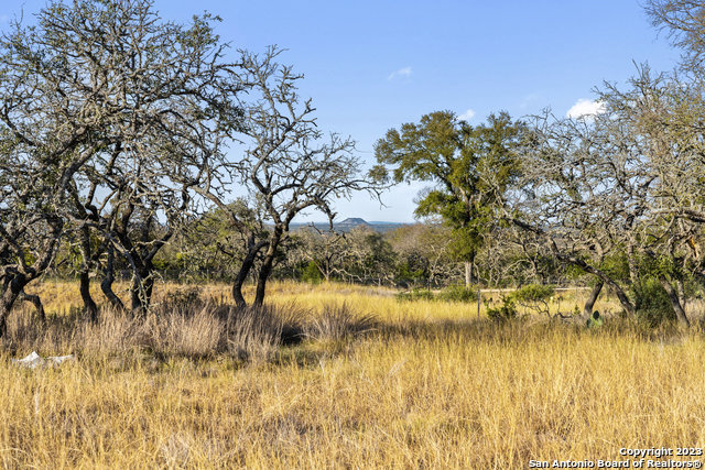 Image 22 of 36 For Lot 91 Axis Cir