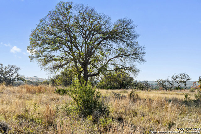 Image 24 of 36 For Lot 91 Axis Cir