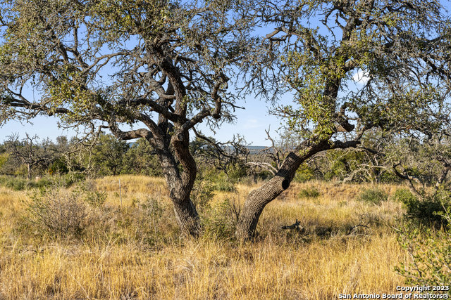 Image 25 of 36 For Lot 91 Axis Cir