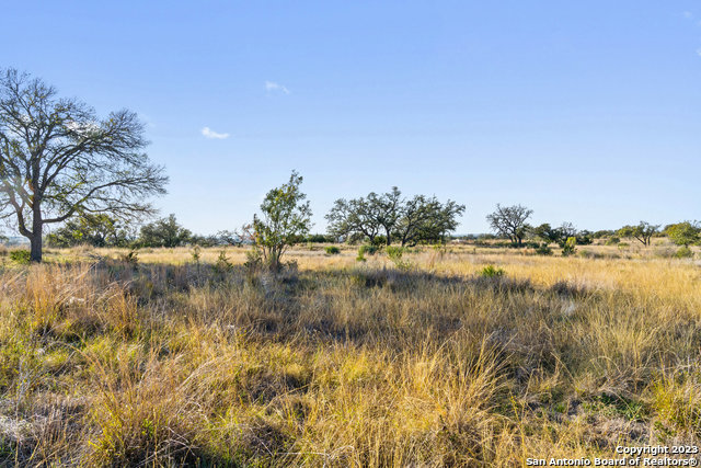 Image 26 of 36 For Lot 91 Axis Cir