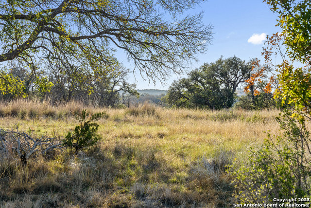 Image 27 of 36 For Lot 91 Axis Cir