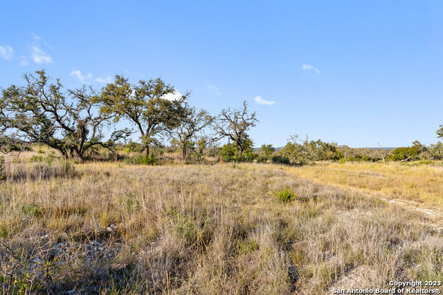 Image 31 of 36 For Lot 91 Axis Cir