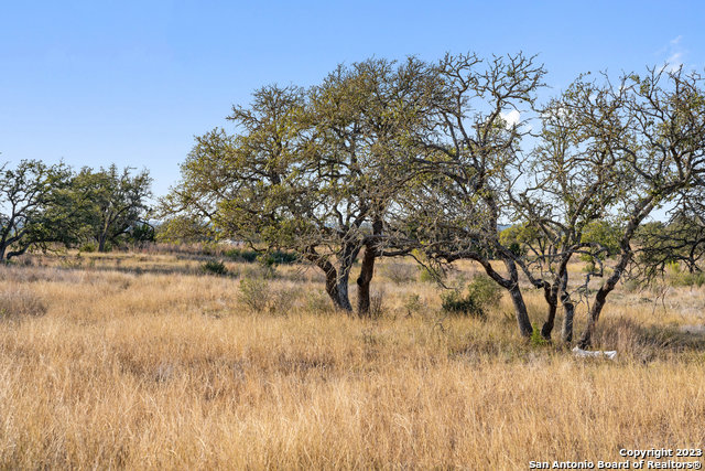 Image 35 of 36 For Lot 91 Axis Cir