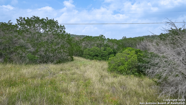 Image 5 of 24 For Cr 242 County Road 242