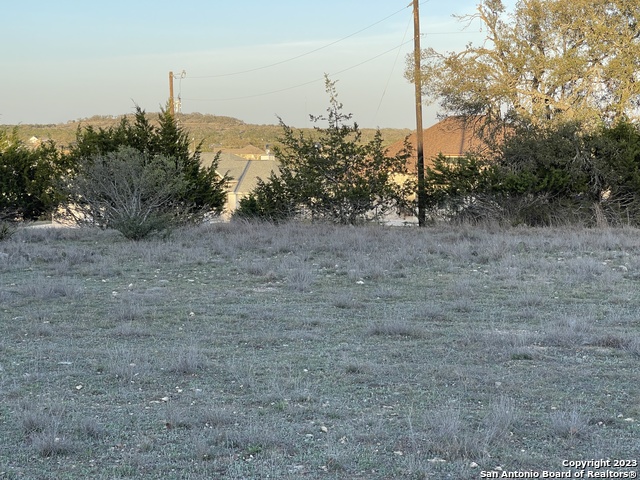 Image 16 of 25 For 111 William Woods