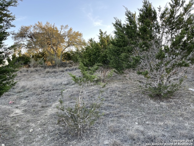 Image 6 of 25 For 111 William Woods
