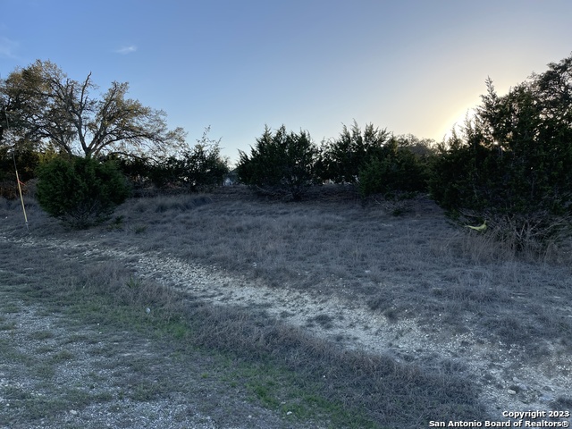 Image 8 of 25 For 111 William Woods