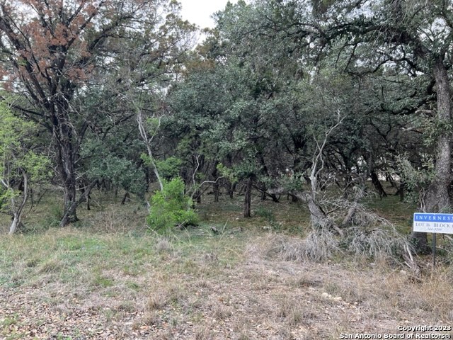 Listing photo id 1 for 122 Tremaine