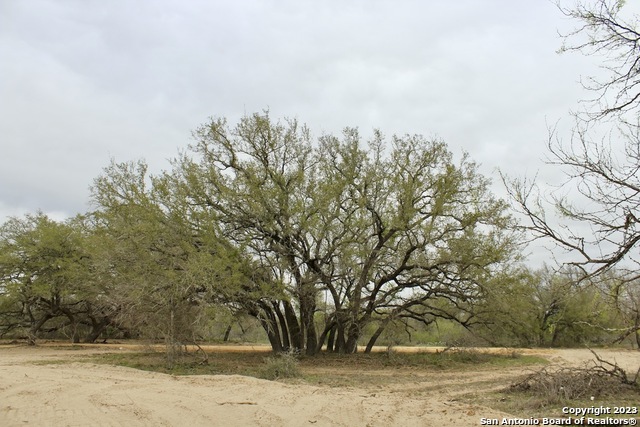 Image 10 of 13 For 2725 County Road 770