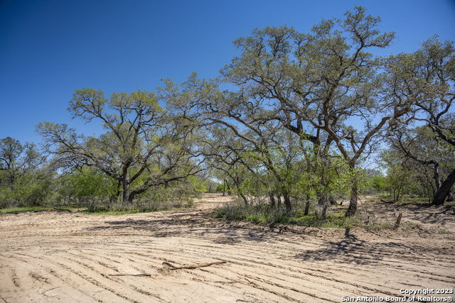 Image 19 of 38 For 2711 County Road 770