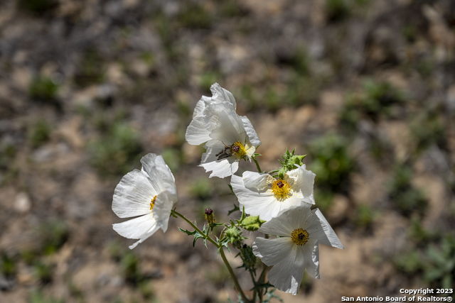 Image 20 of 38 For 2711 County Road 770