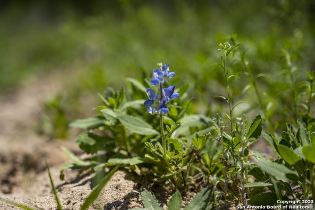 Image 23 of 38 For 2711 County Road 770