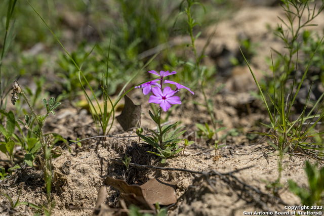 Image 24 of 38 For 2711 County Road 770