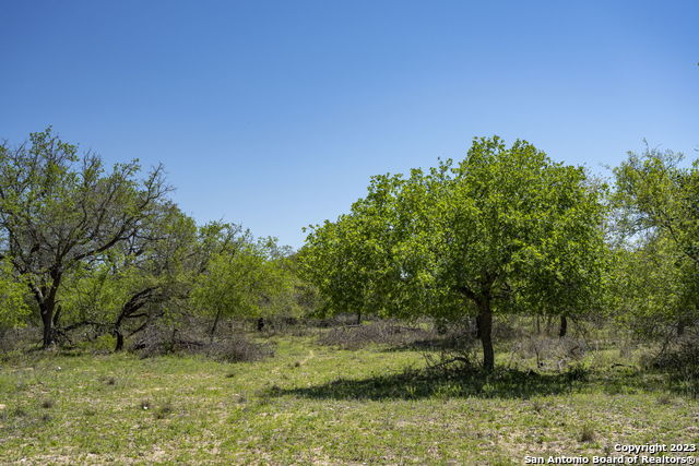 Image 25 of 38 For 2711 County Road 770