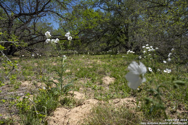 Image 27 of 38 For 2711 County Road 770