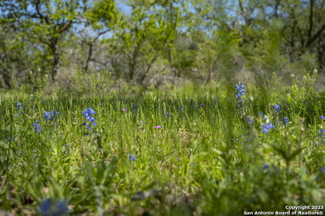 Image 32 of 38 For 2711 County Road 770