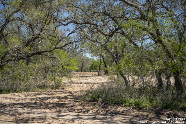 Image 5 of 38 For 2711 County Road 770