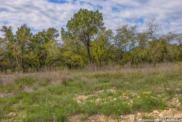 Image 8 of 10 For 829 Earle Oak Ave