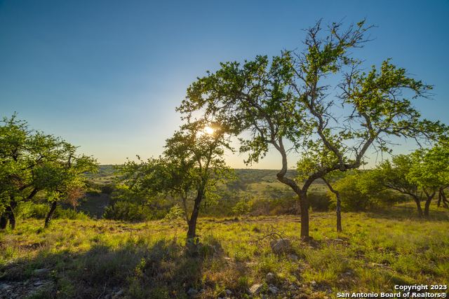 Image 14 of 21 For 0 Hamilton Pool Road