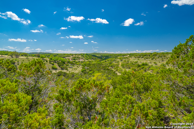 Image 7 of 21 For 0 Hamilton Pool Road