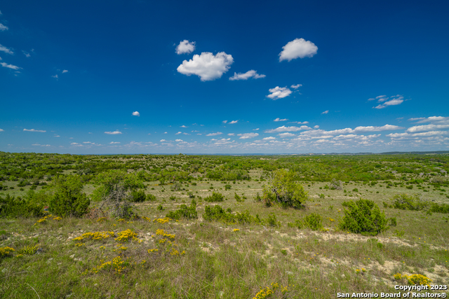 Image 8 of 21 For 0 Hamilton Pool Road