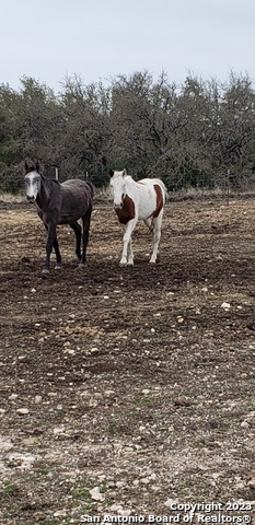 Image 65 of 66 For 514 Centerfork Rd