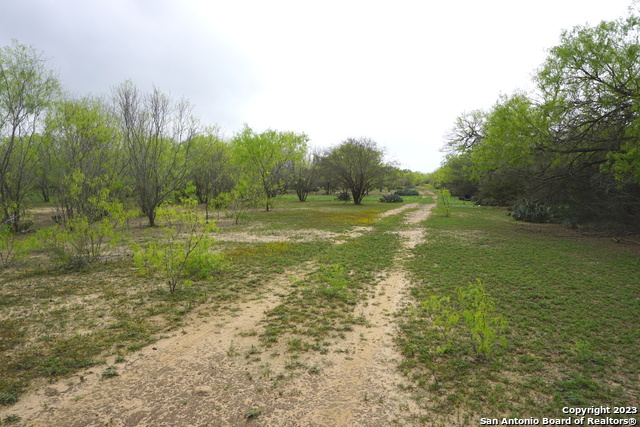 Image 5 of 8 For Tract A Loop 1604 E S